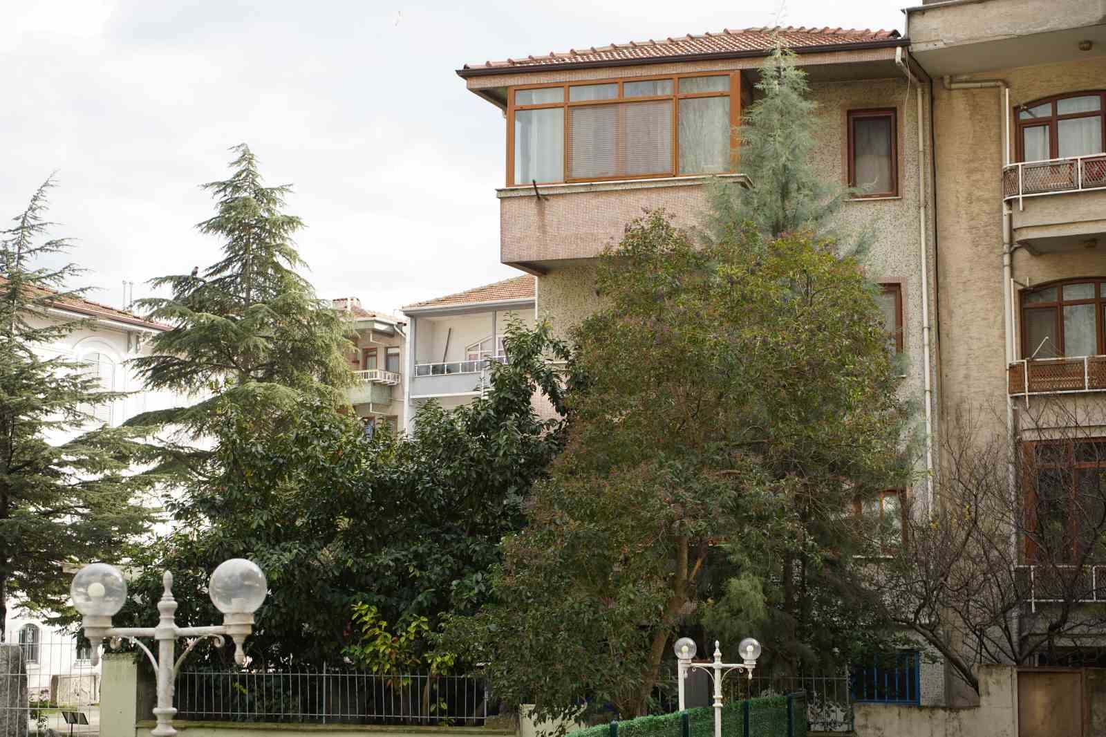 Şiddetli rüzgar hayatı olumsuz etkiledi, bazı ağaçlar devrildi
