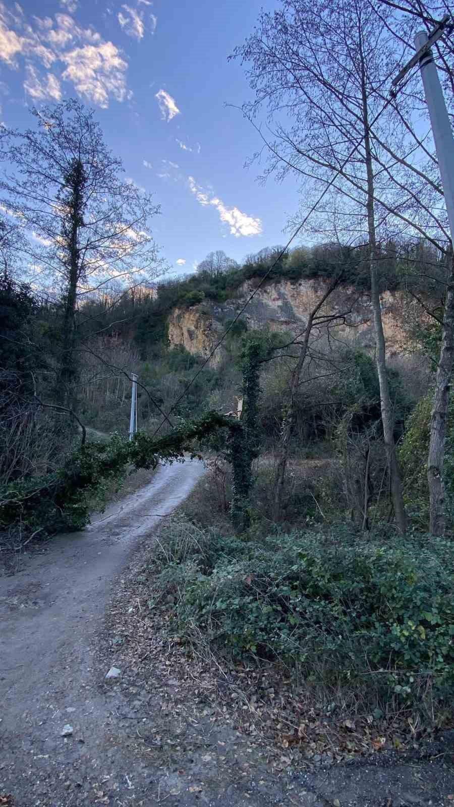 Şiddetli rüzgar hayatı olumsuz etkiledi, bazı ağaçlar devrildi
