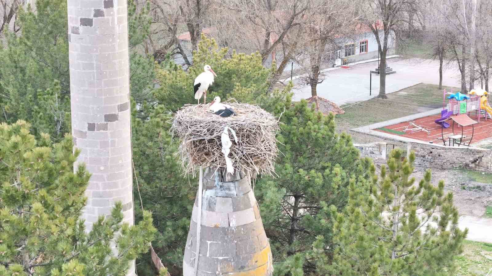 Şıhbarak mahallesinde baharın müjdecisi leylekler yuvalarına döndü
