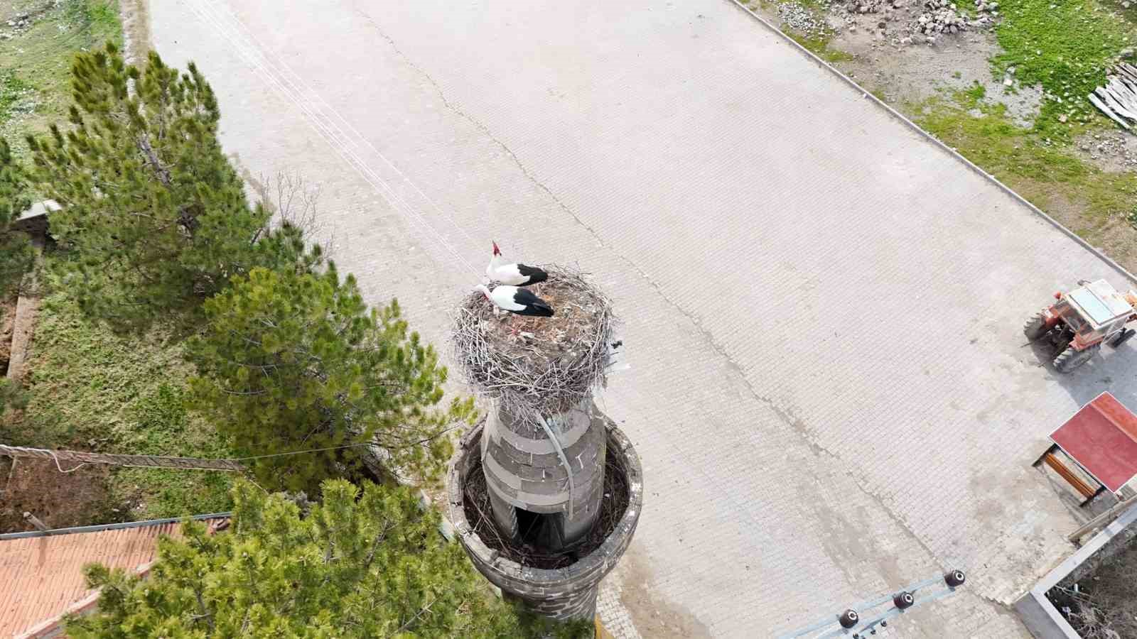 Şıhbarak mahallesinde baharın müjdecisi leylekler yuvalarına döndü
