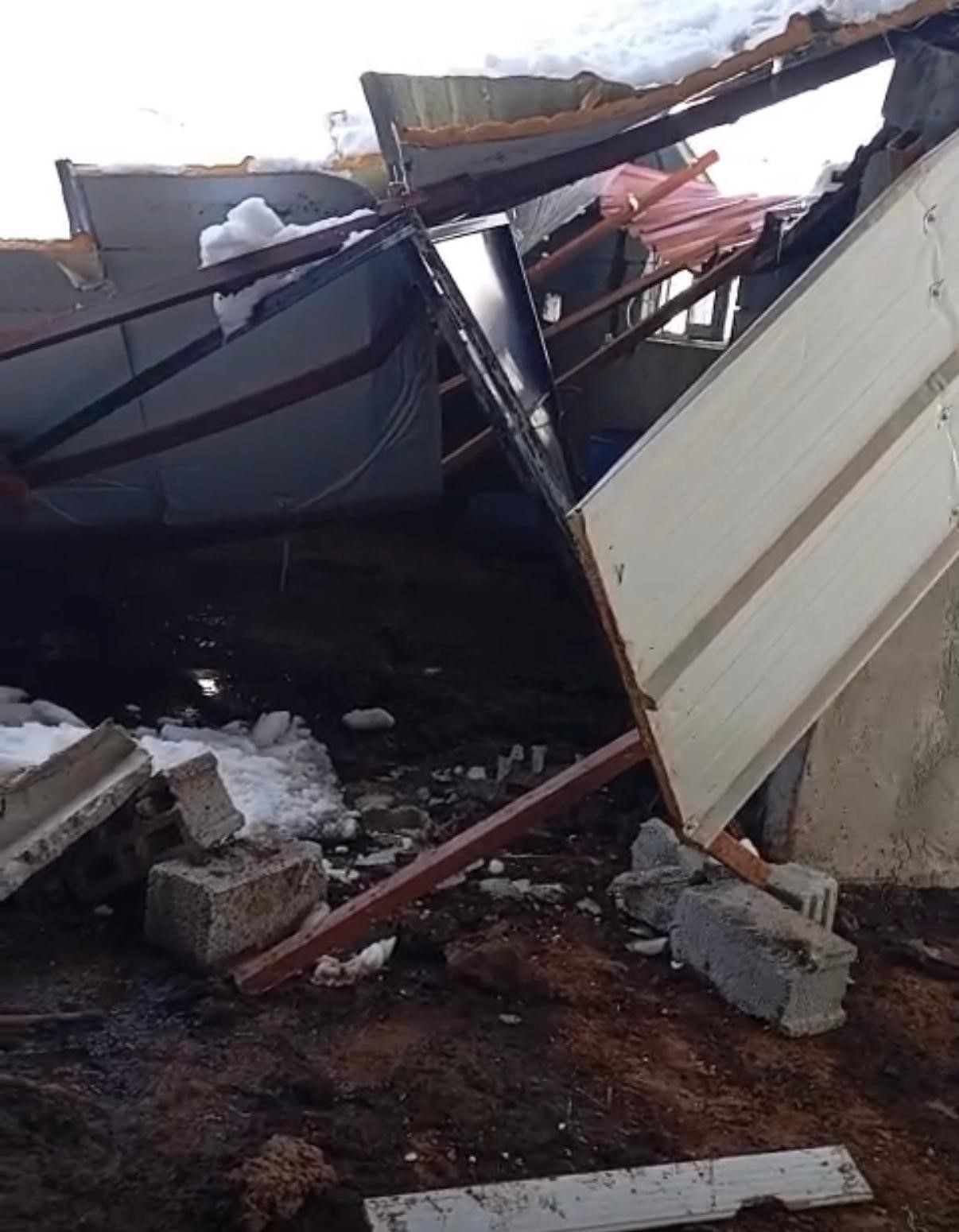 Siirt’te 5 buzağı çöken çatının altında kalarak telef oldu
