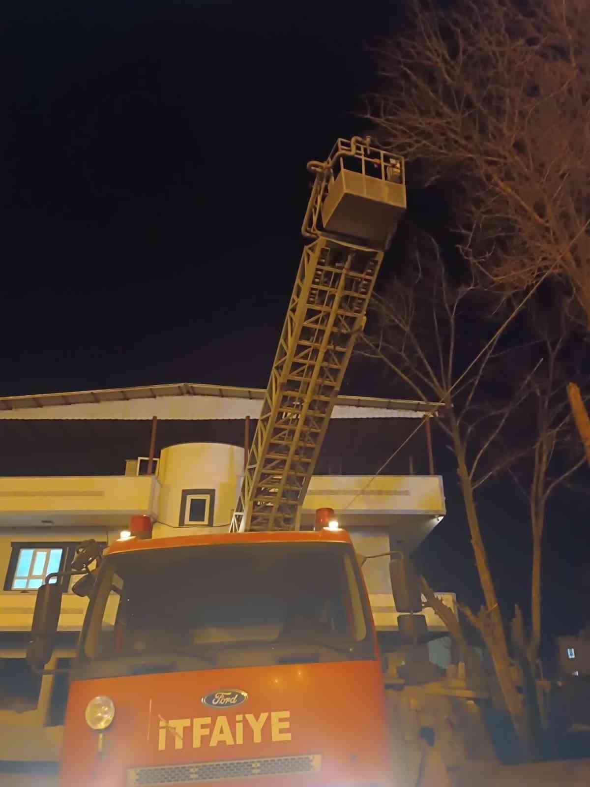 Siirt’te ağaçta mahsur kalan kedi itfaiye ekiplerince kurtarıldı
