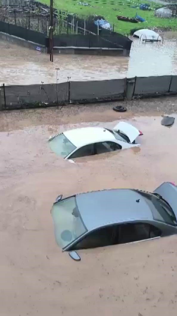 Siirt’te araçlar sel sularında kayboldu, onlarca hayvan telef oldu
