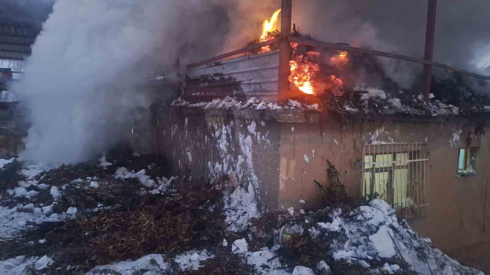 Siirt’te kapanan yollar açıldı, hastalar hastaneye ulaştırıldı
Siirt’te kapanan yollar açıldı, hastalar hastaneye ulaştırıldı