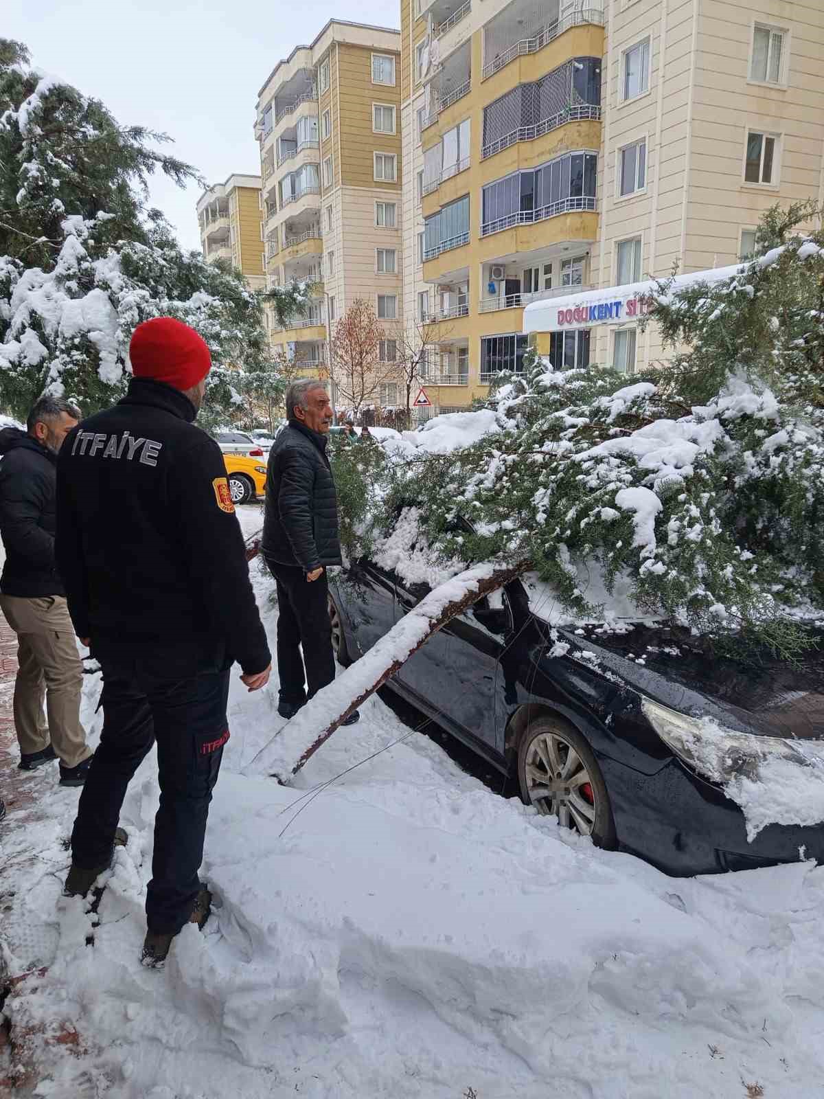 Siirt’te karın ağırlığına dayanamayan çam ağacı otomobilin üzerine devrildi
