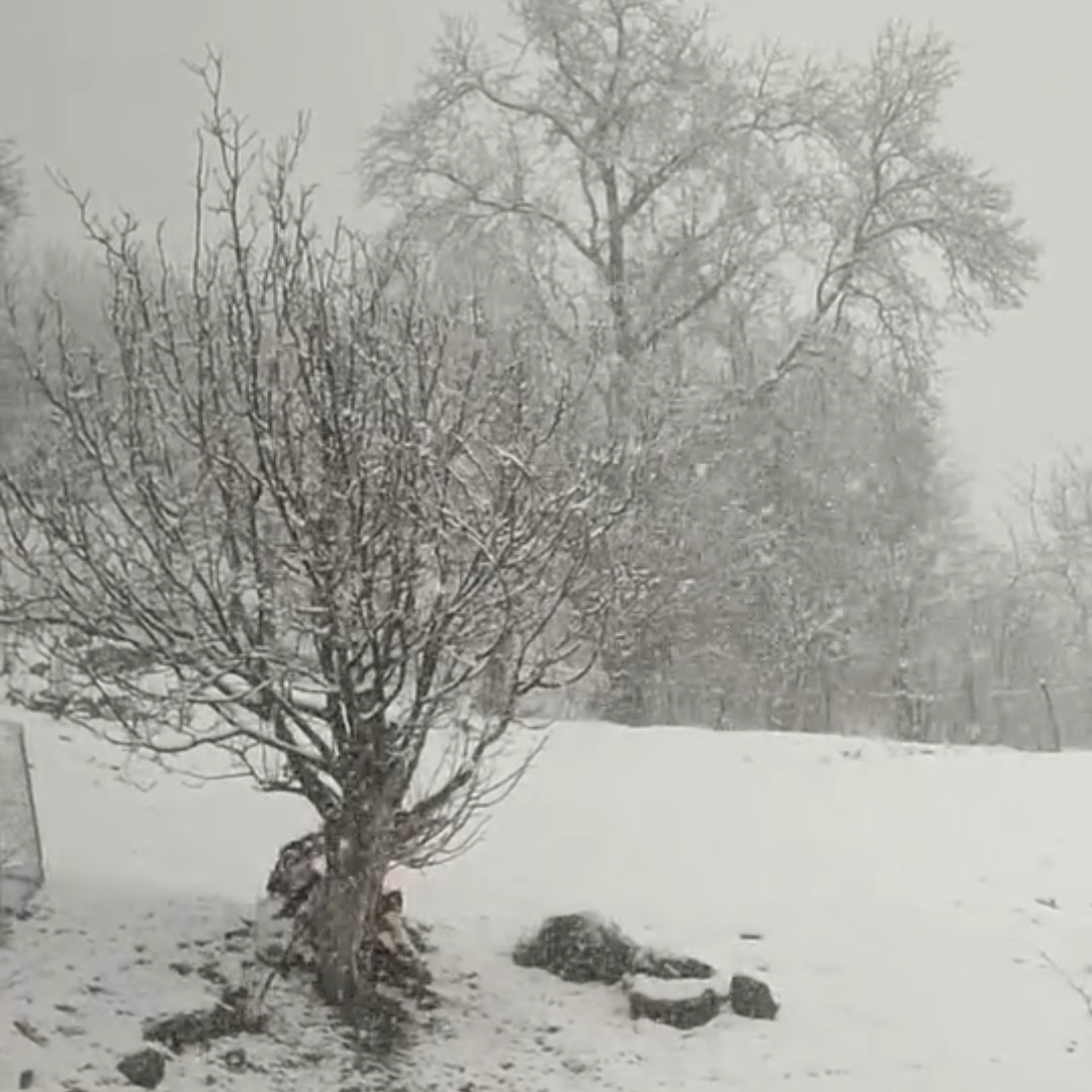 Siirt’te nisan ayında kar sürprizi
