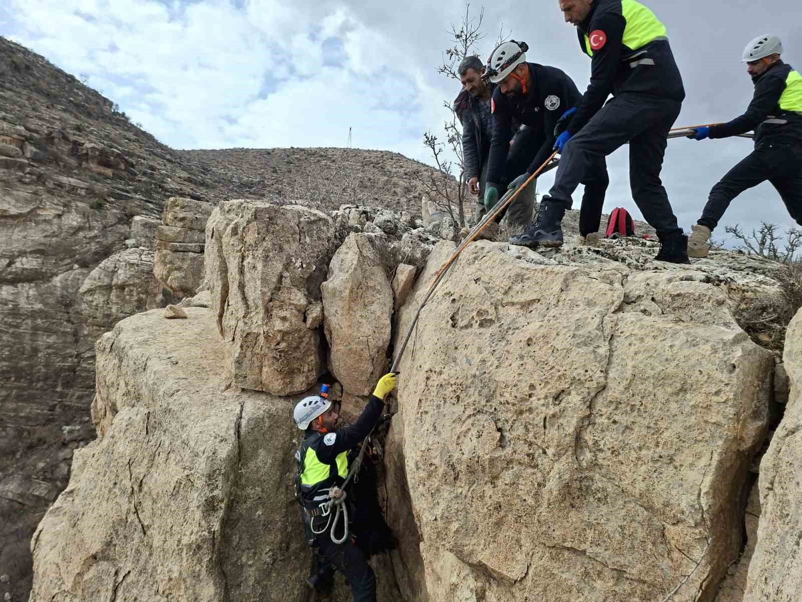 Siirt’te üç gündür mahsur kalan keçi dağcılar tarafından kurtarıldı
