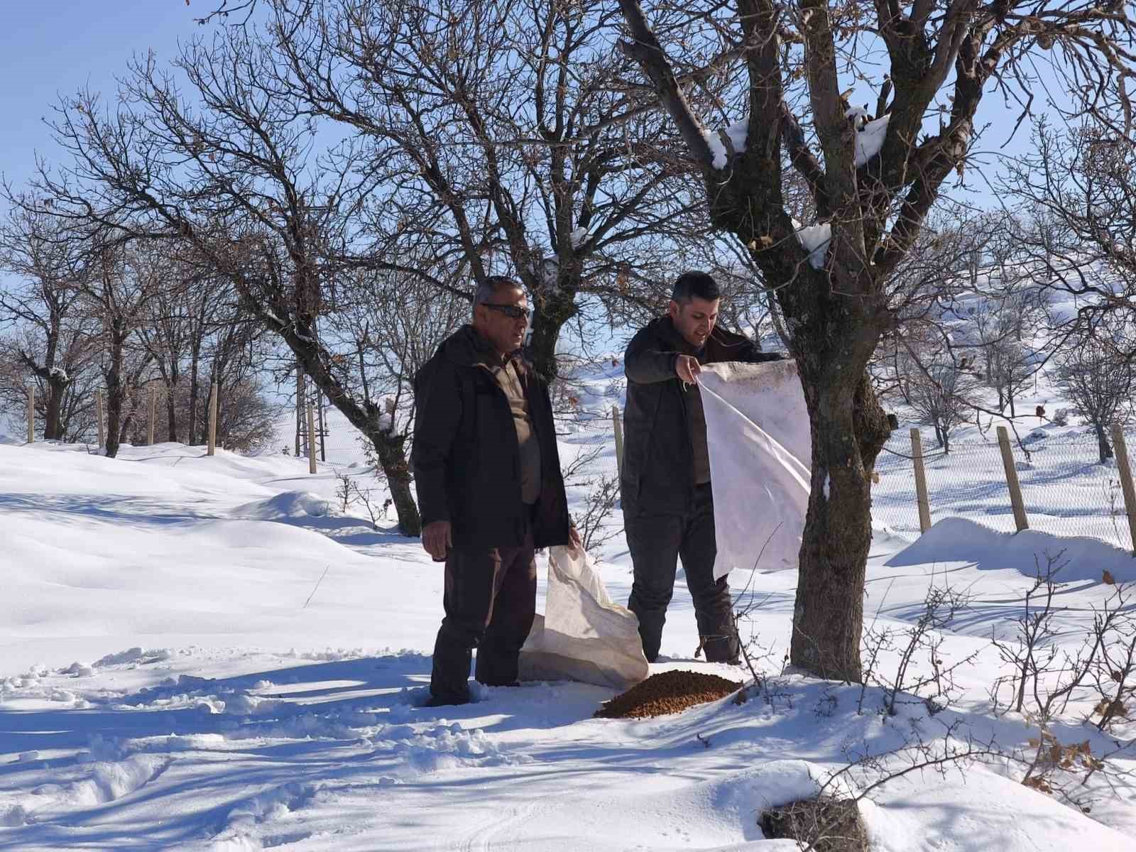 Siirt’te yaban hayvanları için doğaya yem bırakıldı
