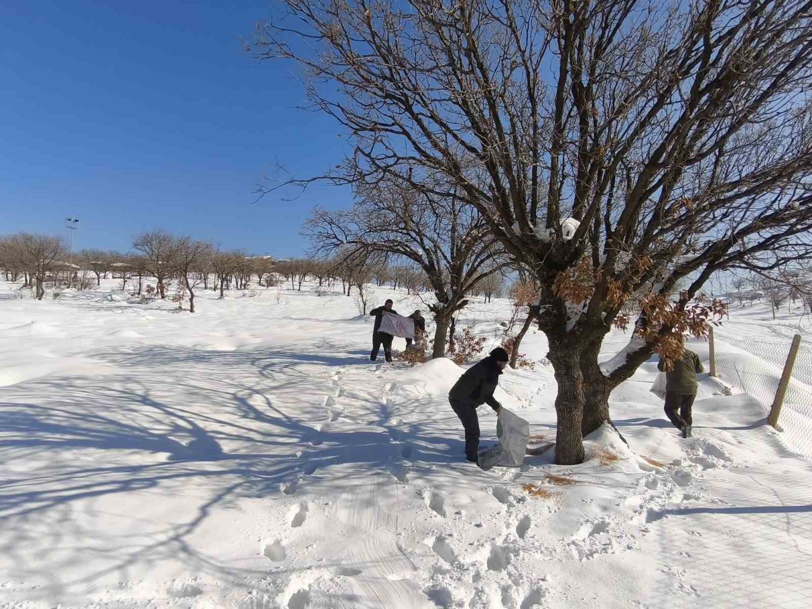 Siirt’te yaban hayvanları için doğaya yem bırakıldı
