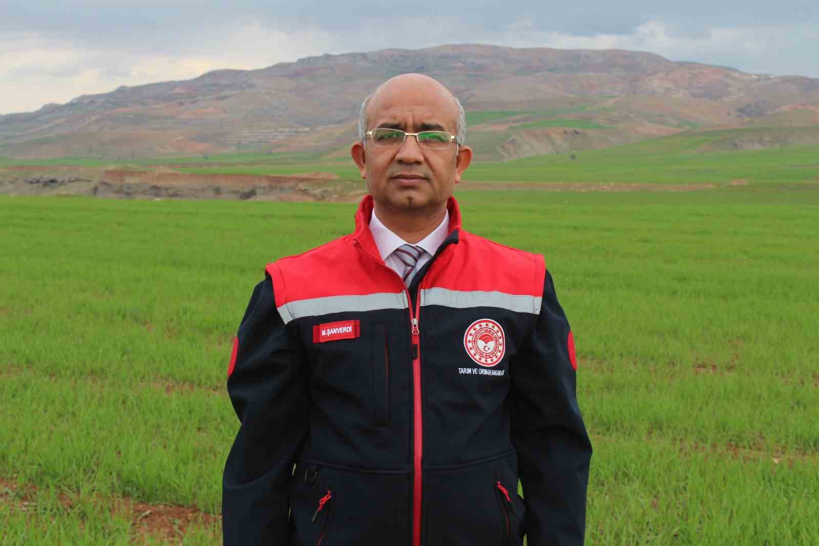 Siirt’te yağışlar yüzde 150 arttı, tarımsal hasıla beklentisi yükseldi
