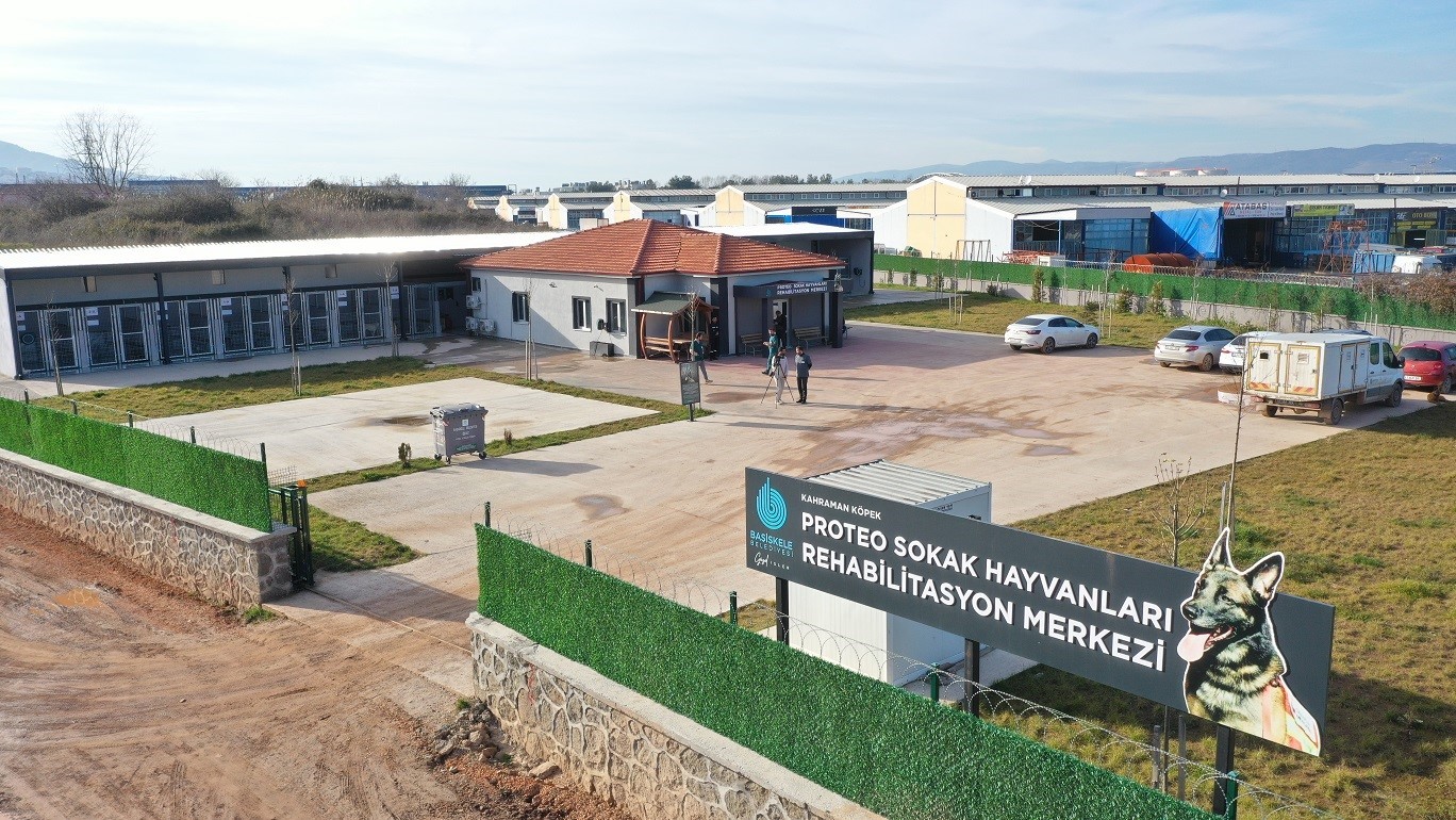 Şikayetler 100’den 20’ye indi: Başiskele’de sokak hayvanı şikayetleri büyük oranda düştü
