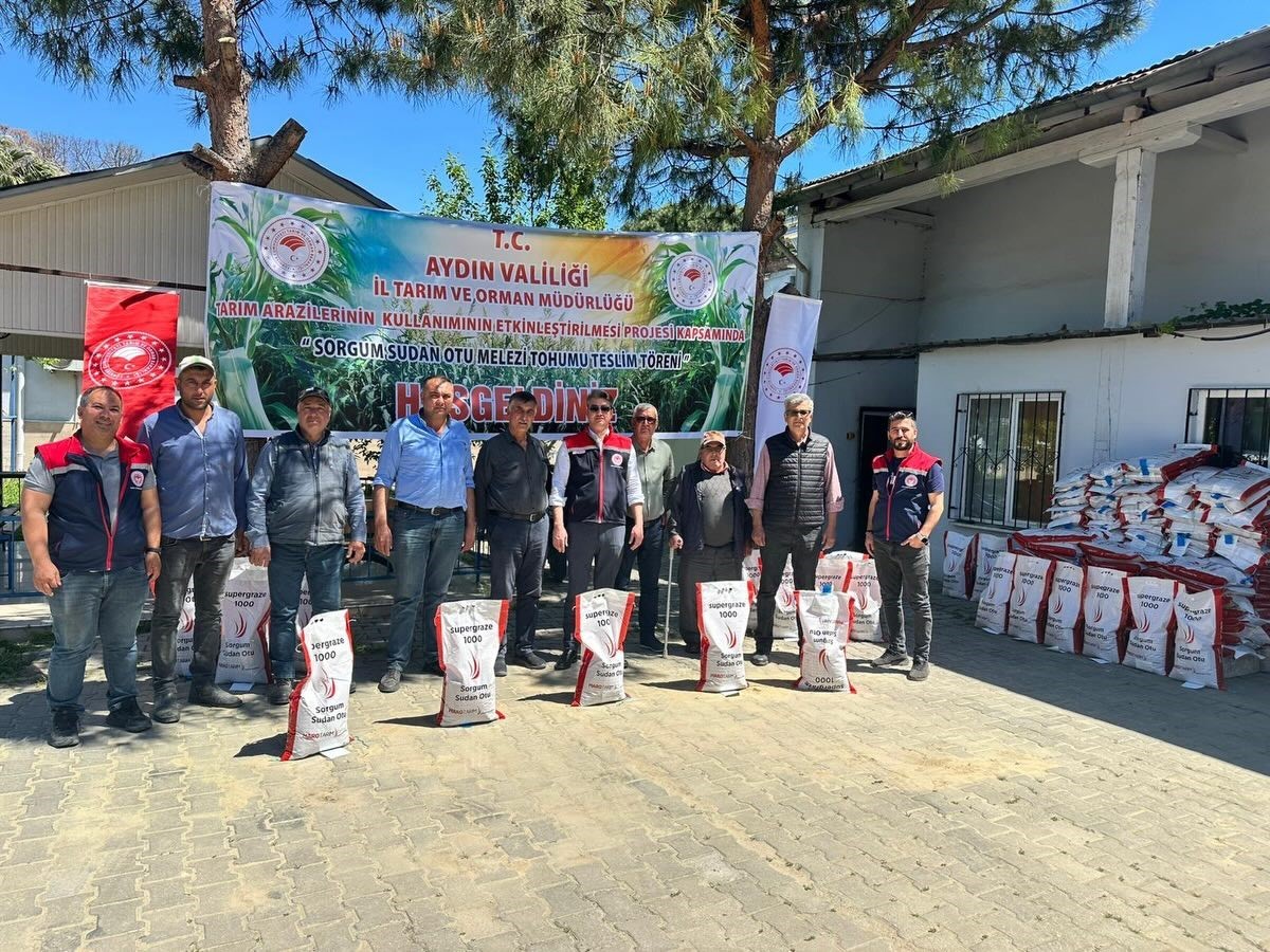 Silajlık mısıra alternatif olan sorgum otu üreticilere dağıtıldı
