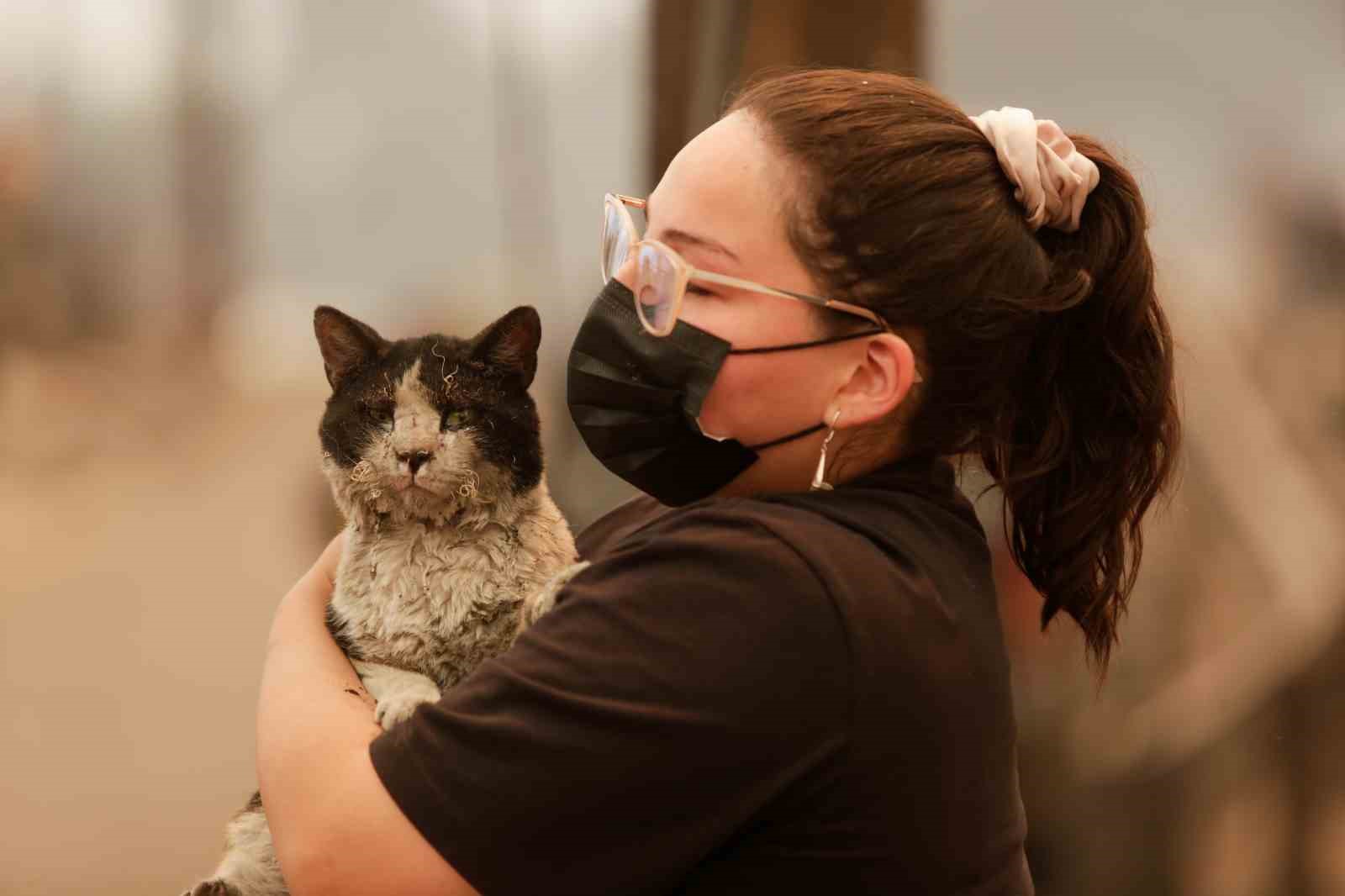 Şili’de orman yangını: 18 öü
