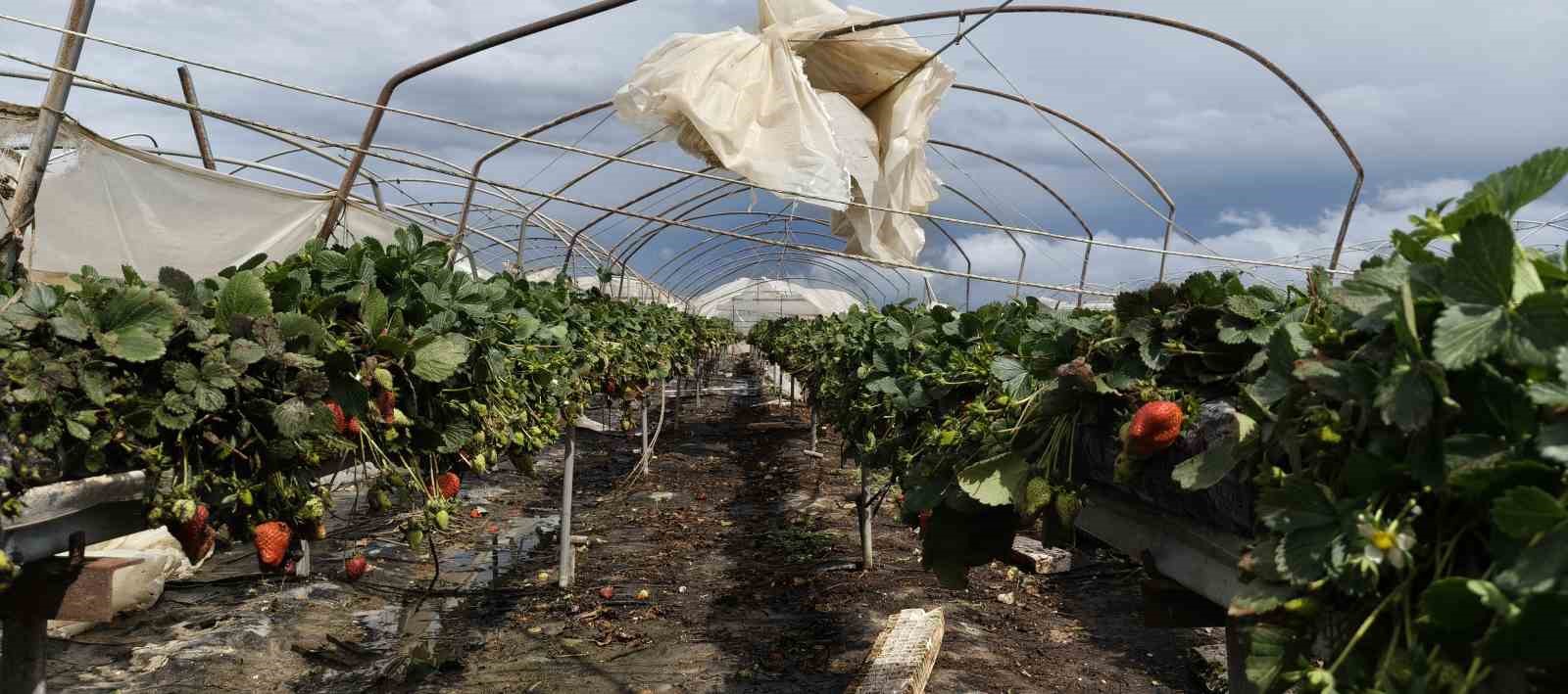 Silifke’de hortum seraları yerle bir etti
