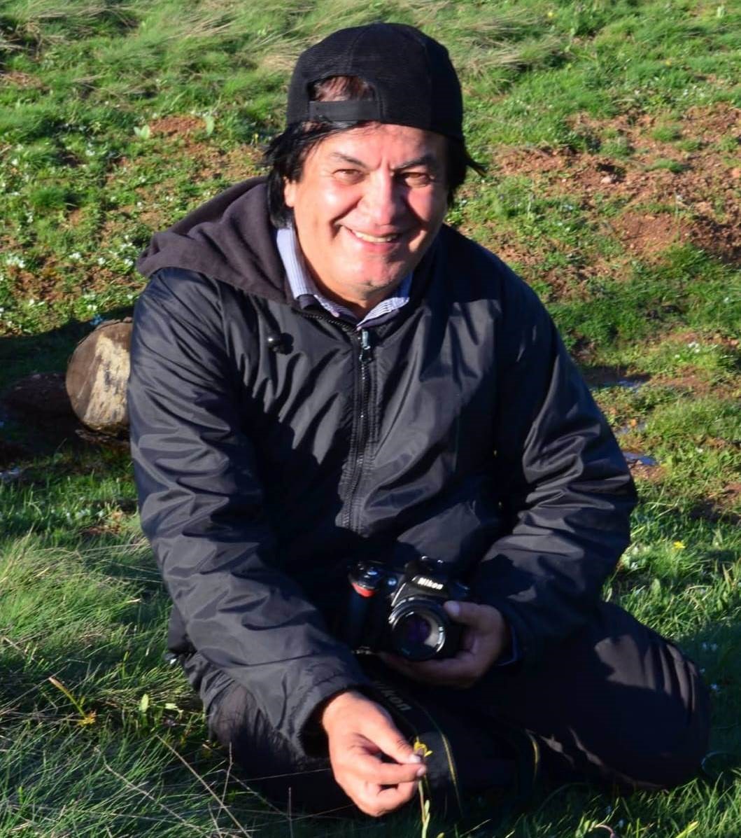 Simav Dağı rengârenk ters lalelere ev sahipliği yapıyor
