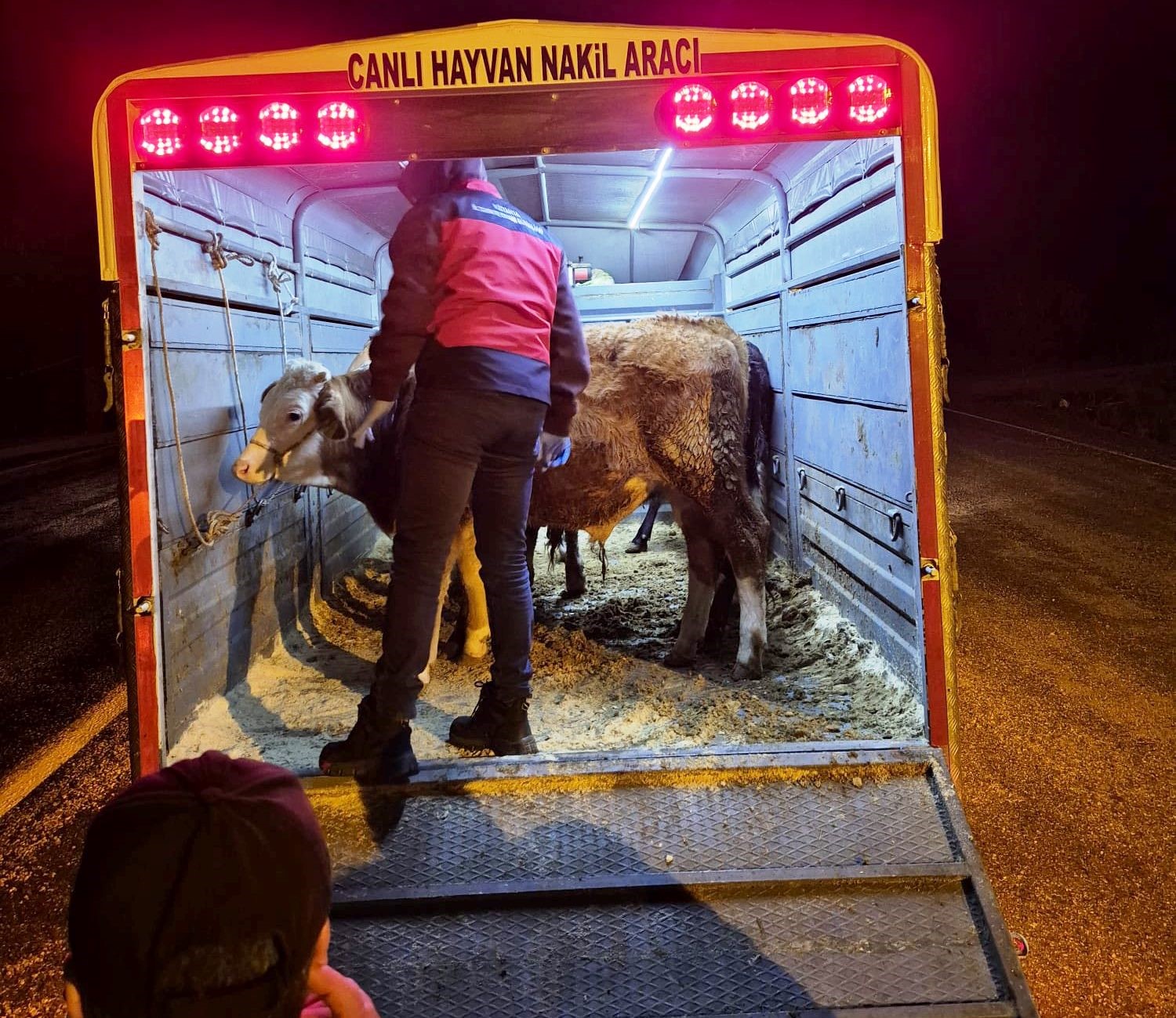 Simav’da hayvan hareketlerine yönelik yol kontrolü
