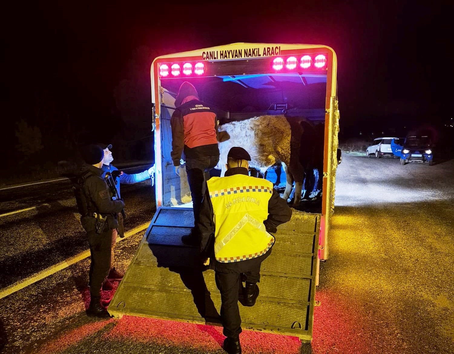 Simav’da hayvan hareketlerine yönelik yol kontrolü
