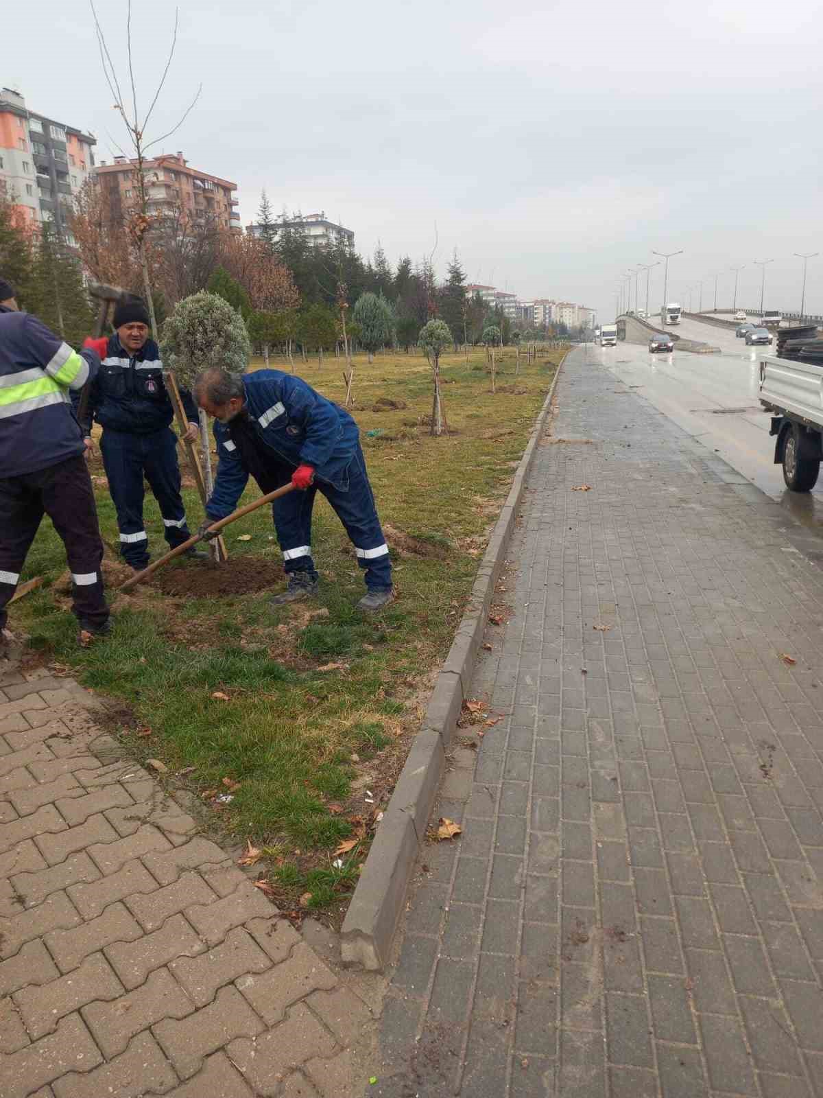 Sincan’da çevre düzenleme ve peyzaj çalışmaları aralıksız sürüyor
