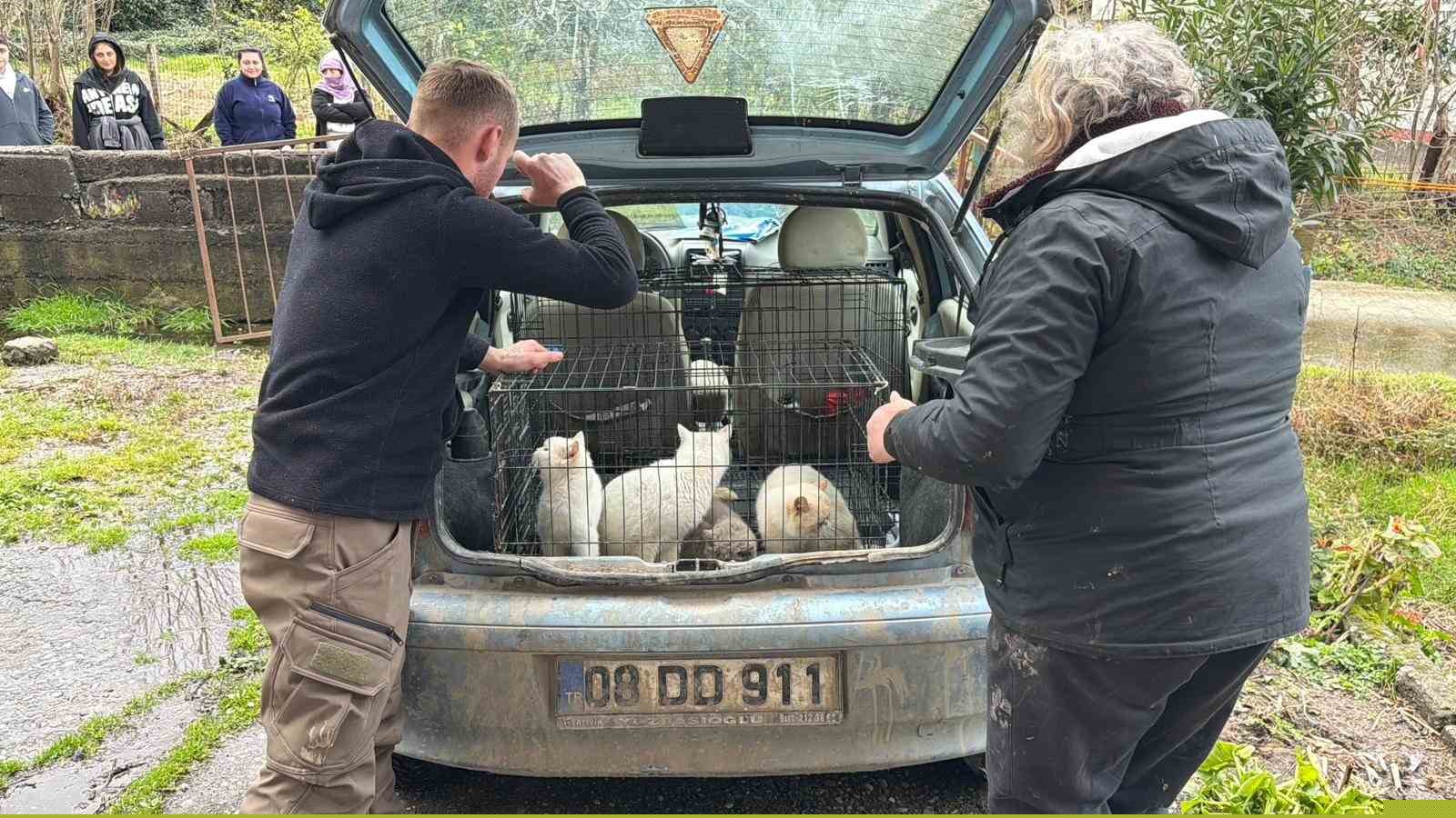 Sınır dışı edilen Rus kadının evinde 4 gündür aç olan 12 hayvan kurtarıldı

