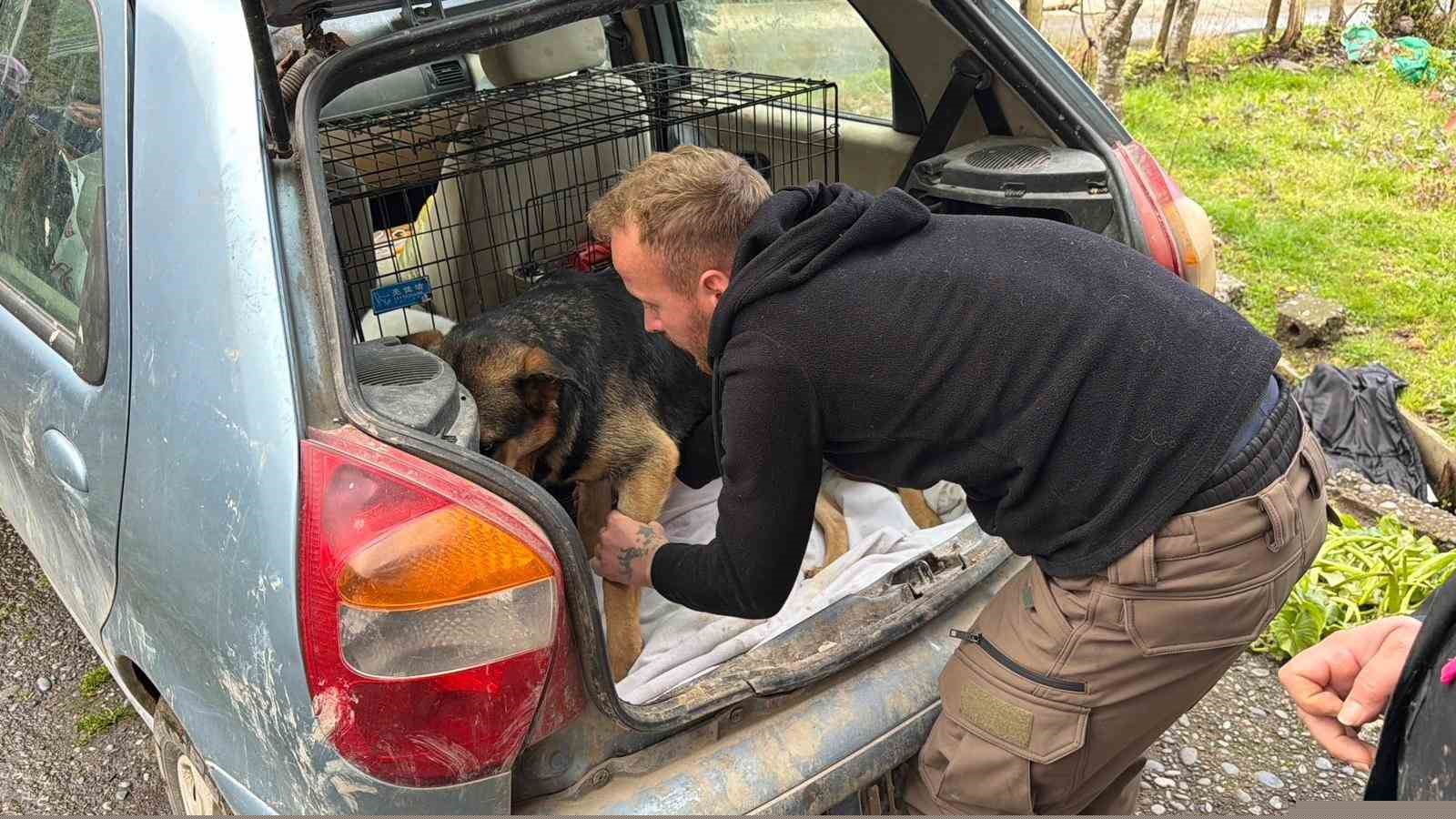 Sınır dışı edilen Rus kadının evinde 4 gündür aç olan 12 hayvan kurtarıldı
