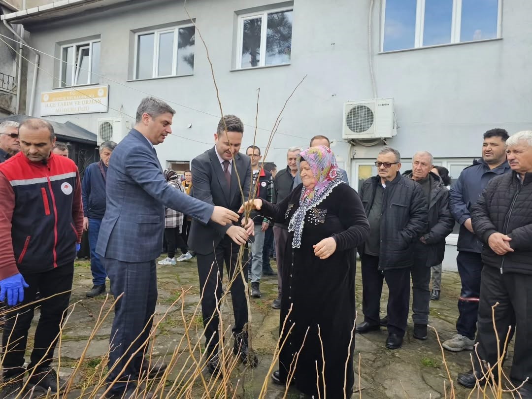 Sinop’ta 900 fırıncık armudu fidanı dağıtıldı
