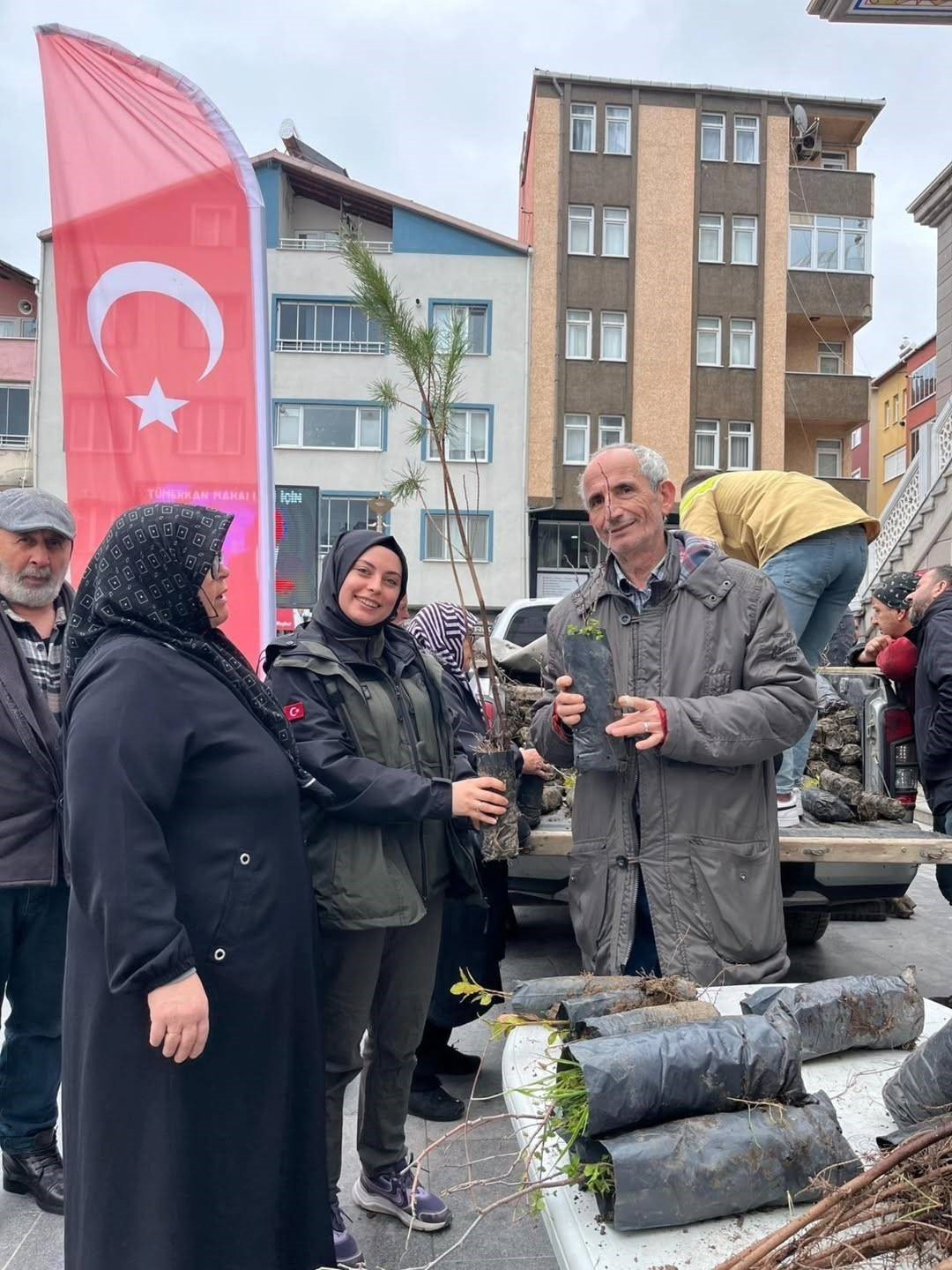 Sinop’ta binlerce fidan toprakla buluşuyor
