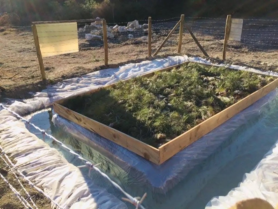 Sinop’ta çam kese böceği ile mücadele
