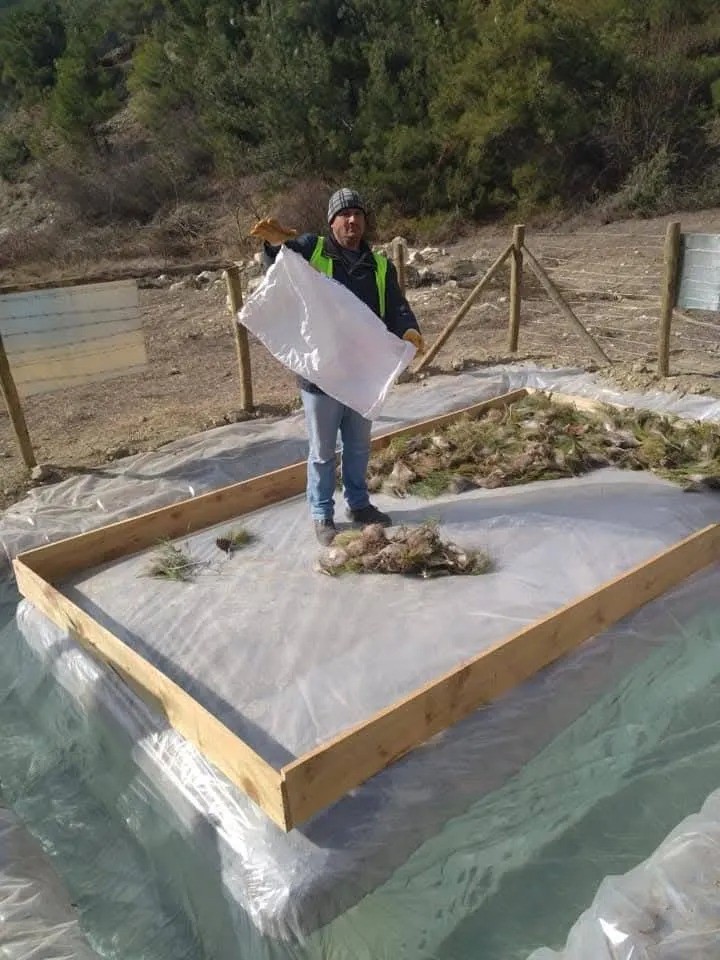 Sinop’ta çam kese böceği ile mücadele
