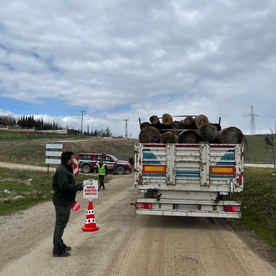 Sinop’ta orman ürünlerine 183 noktada denetim
