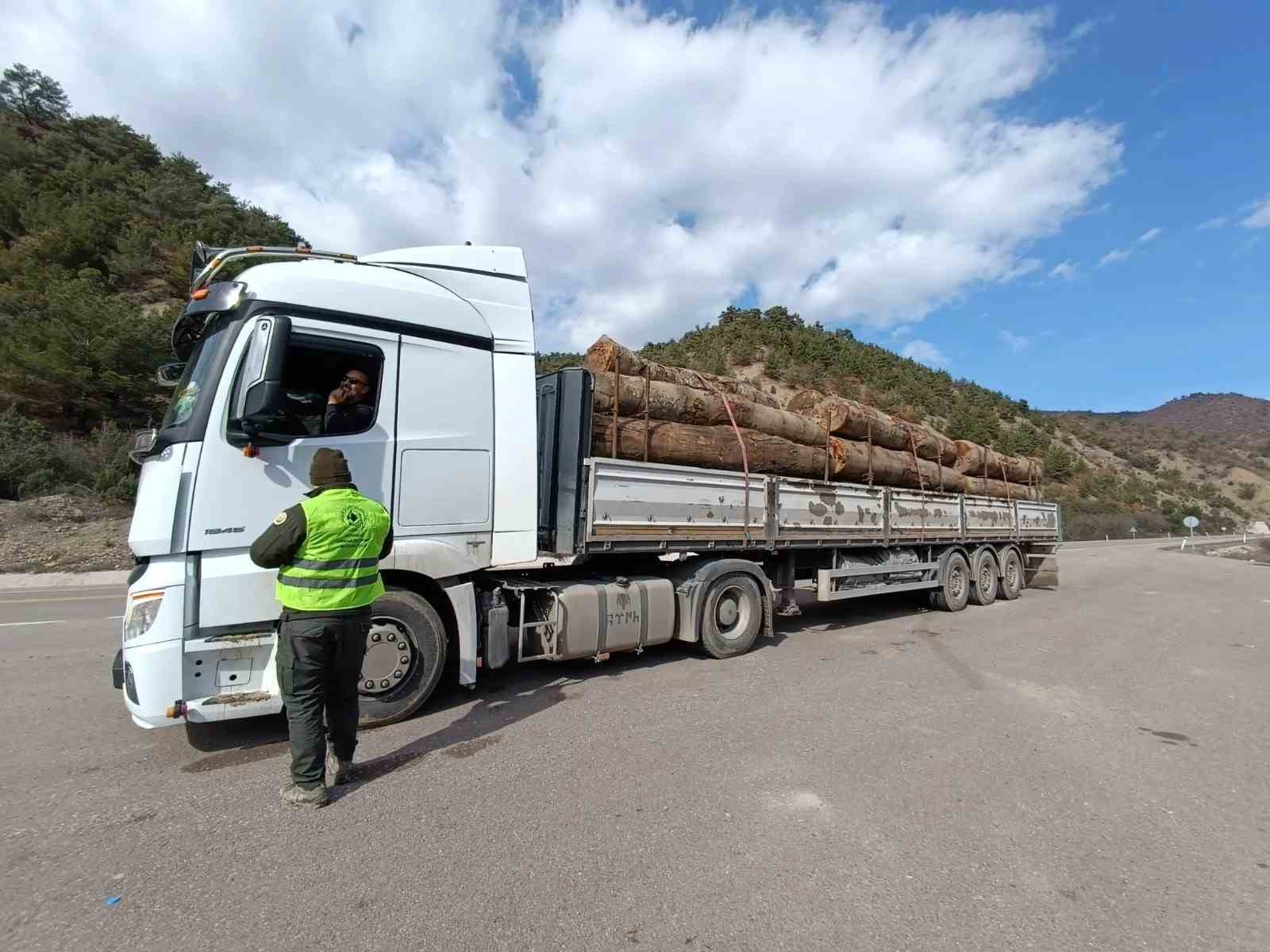 Sinop’ta ormanlara koruma kalkanı
