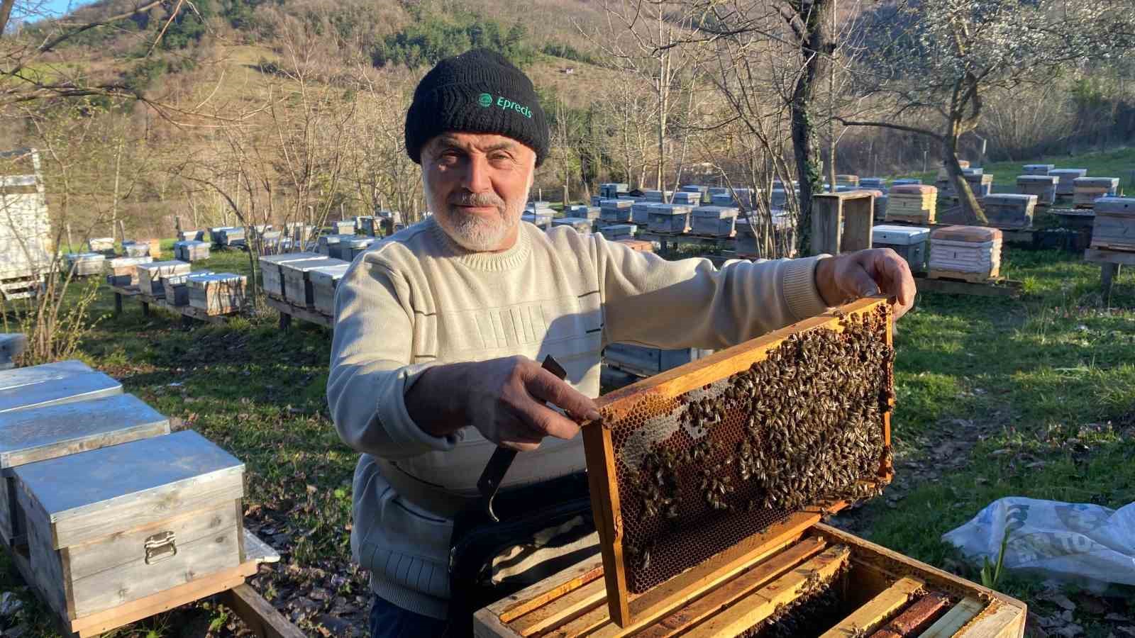 Sinop’ta soğuk hava arıcılığı olumsuz etkiliyor
