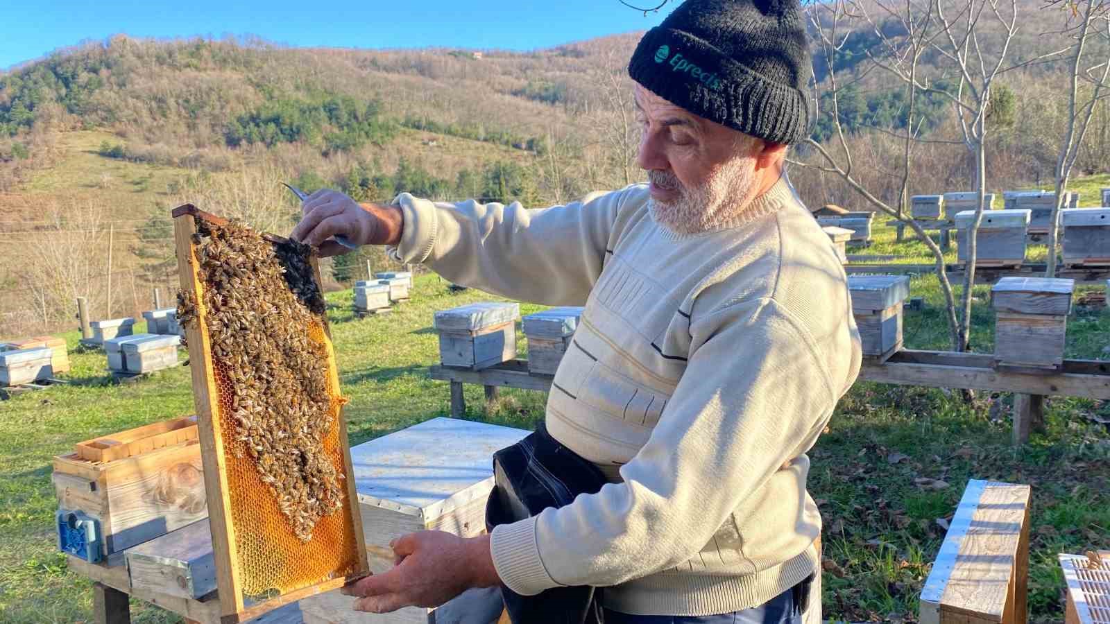 Sinop’ta soğuk hava arıcılığı olumsuz etkiliyor

