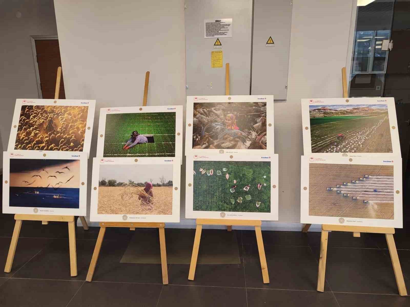 Sinop’ta "Tarım, Orman ve İnsan Sergisi" açıldı
