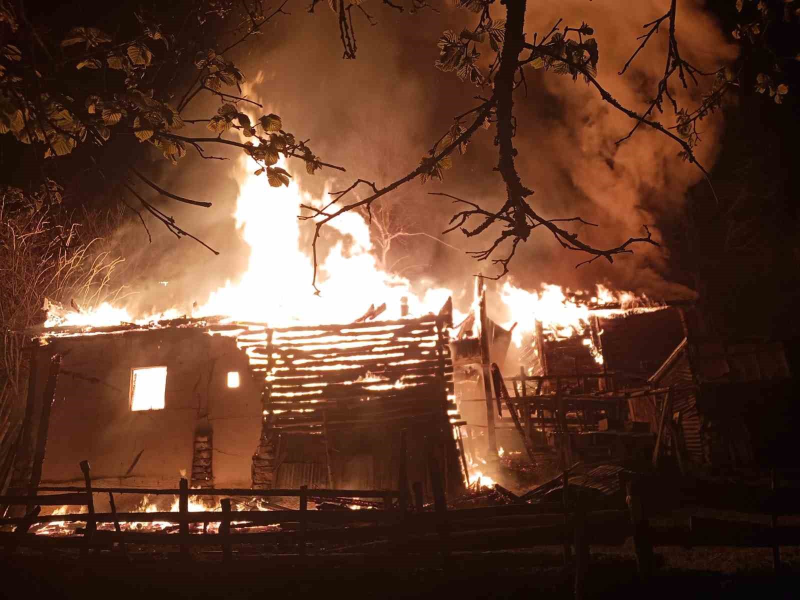 Sinop’ta yangın: 2 katlı ev, ahır, ambar kül oldu
