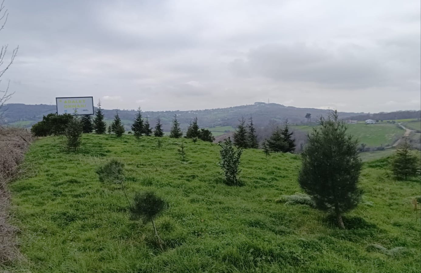 Sinop’ta yükümlülerden geleceğe nefes
