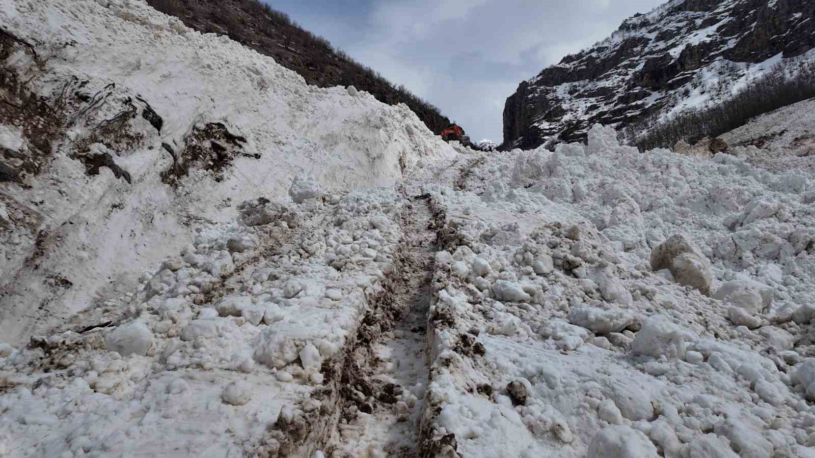 Şırnak’a son dönemlerin en büyük çığı düştü
