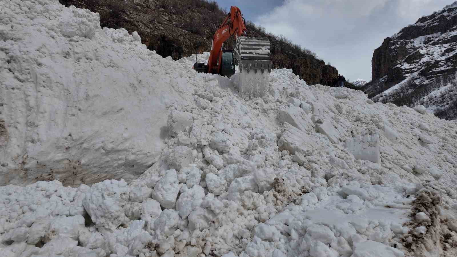 Şırnak’a son dönemlerin en büyük çığı düştü
