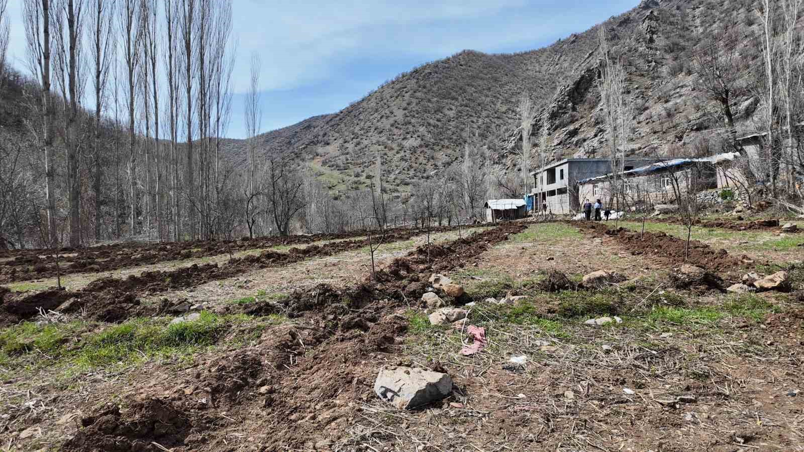 Şırnaklı çiftçi devlet desteğiyle bütün arazisine meyve fidanı dikti
