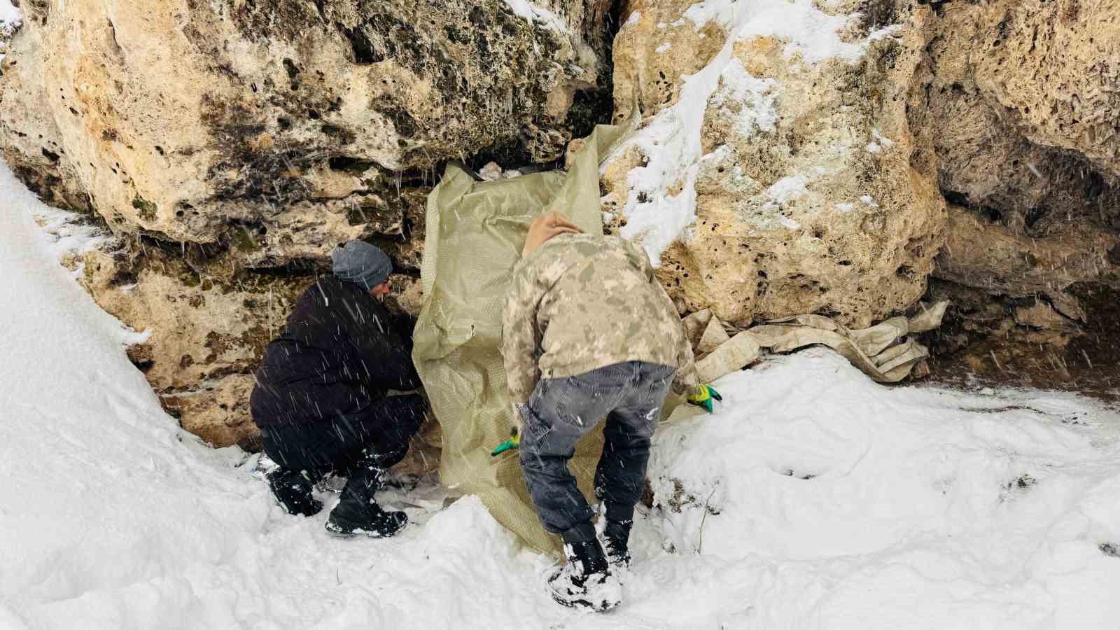 Şırnak’ta 12 köpek yavrusu donmak üzereyken kurtarıldı
