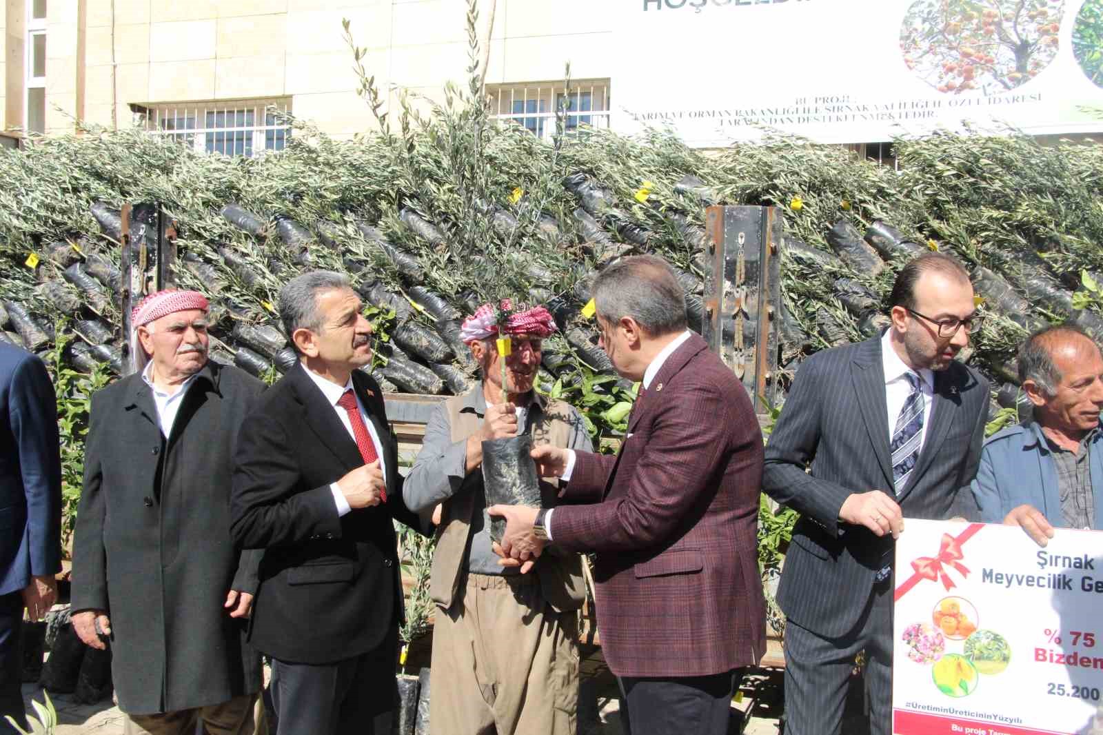 Şırnak’ta 25 bin 200 fidan toprakla buluştu: 810 dekar meyve bahçesi oluyor
