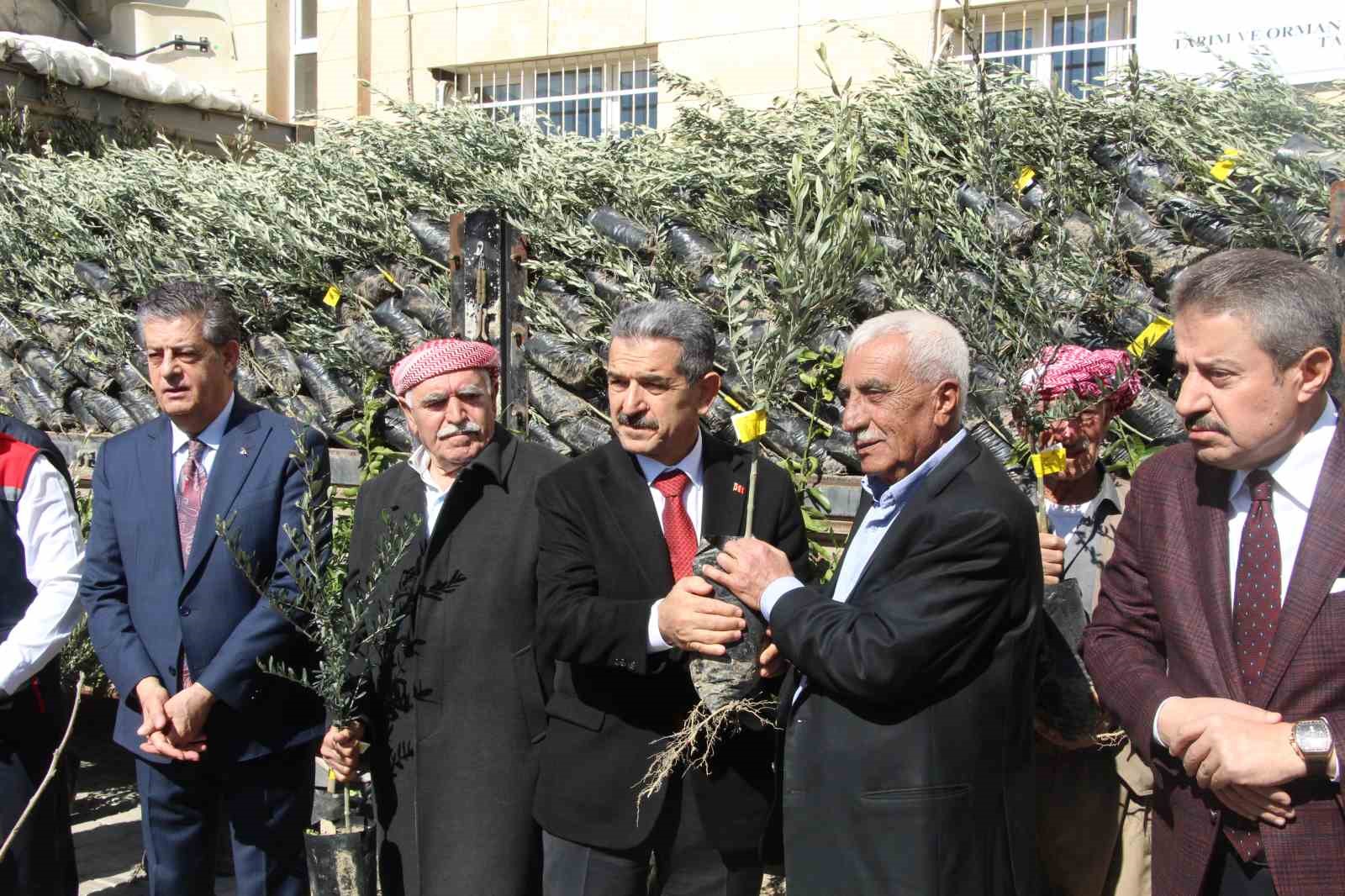 Şırnak’ta 25 bin 200 fidan toprakla buluştu: 810 dekar meyve bahçesi oluyor
