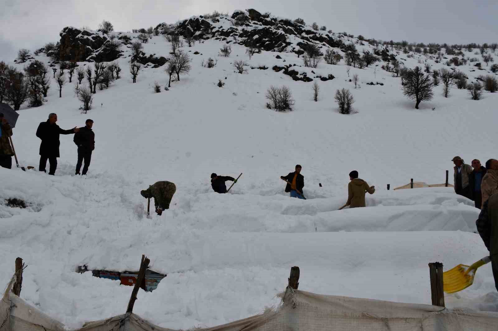 Şırnak’ta bal arıları çığ altında kaldı
