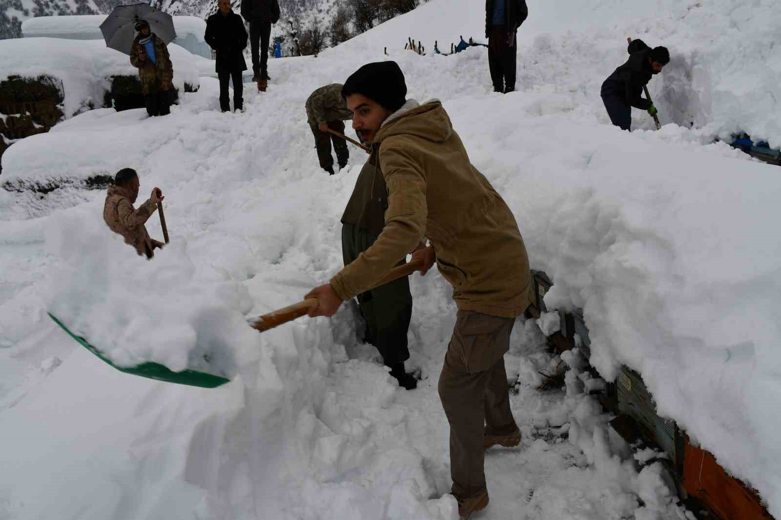 Şırnak’ta bal arıları çığ altında kaldı
