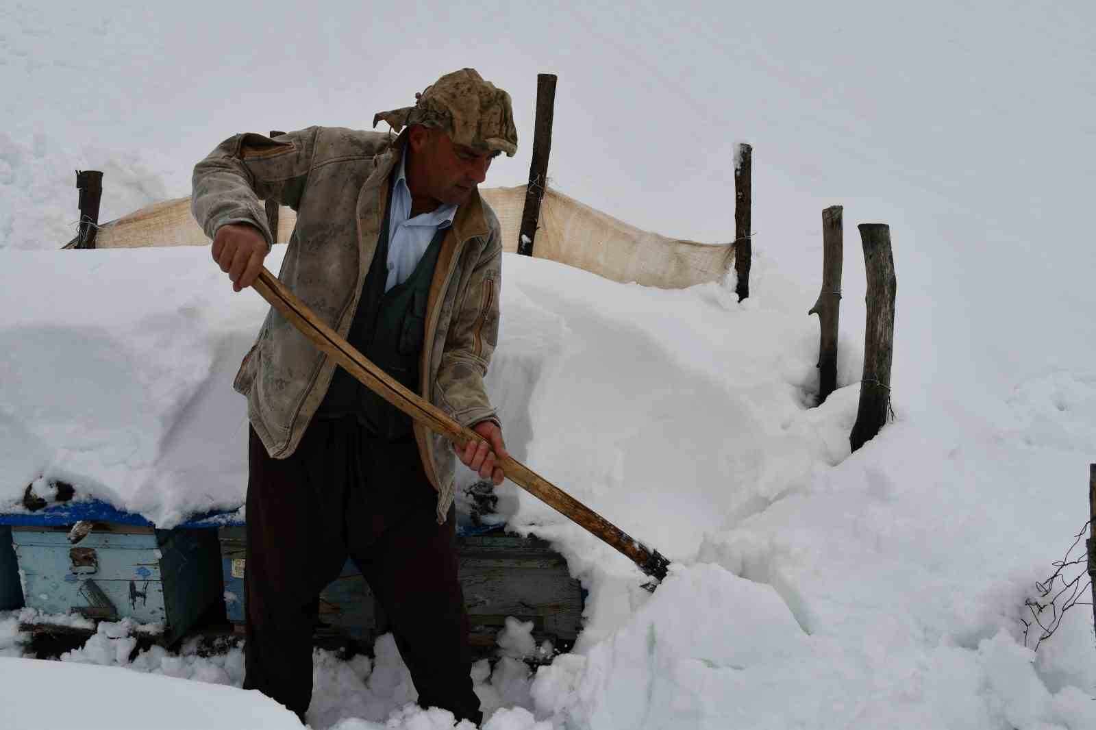 Şırnak’ta bal arıları çığ altında kaldı
