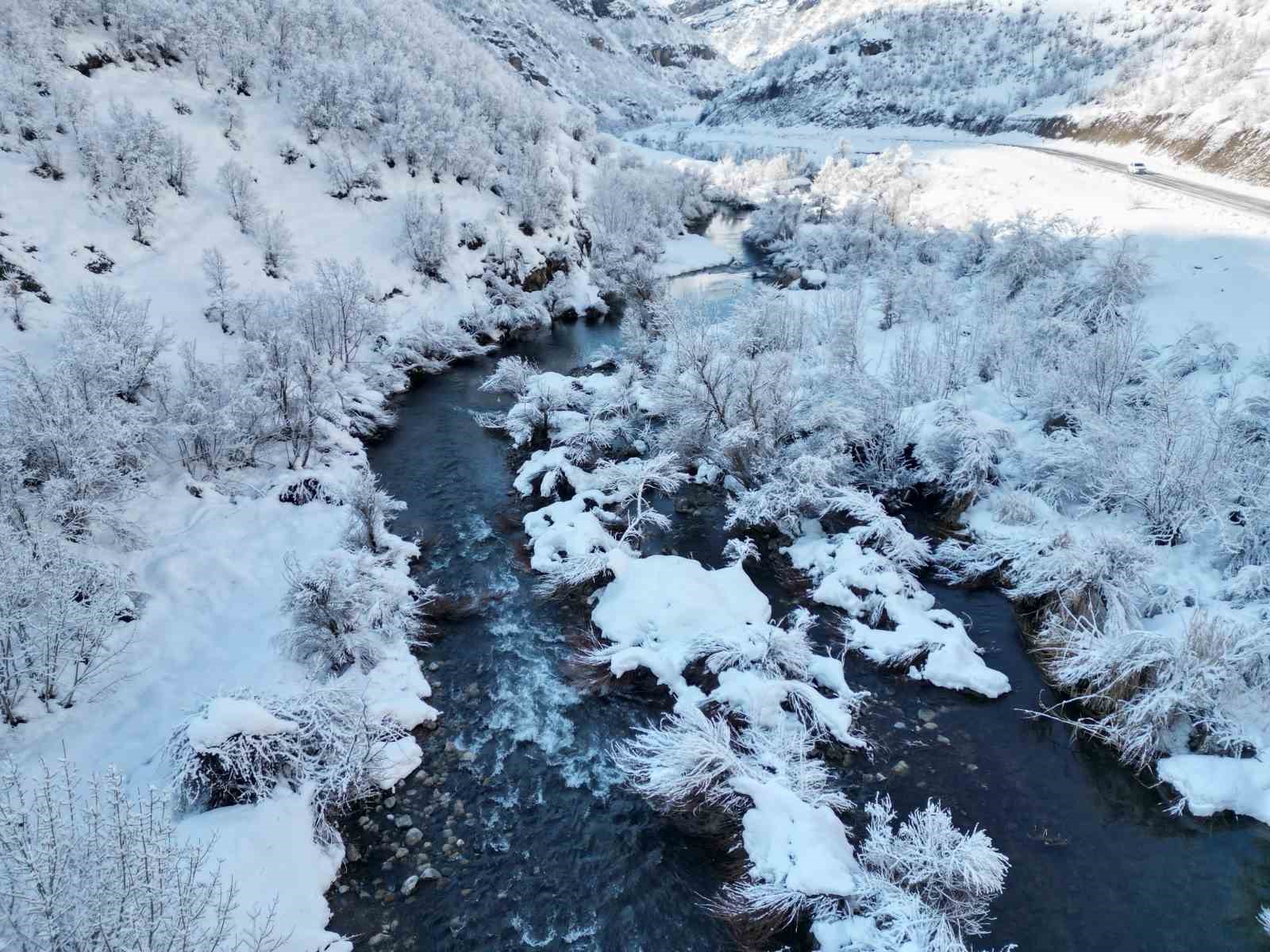 Şırnak’ta beyaza bürünen dağ ve ağaçlar göz kamaştırdı
