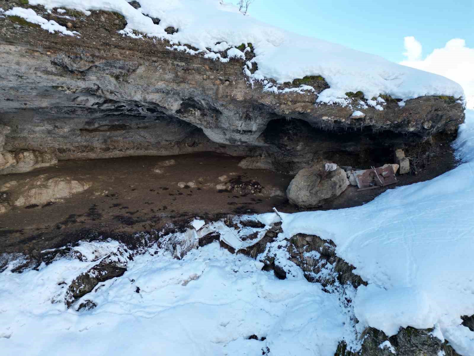 Şırnak’ta beyaza bürünen dağ ve ağaçlar göz kamaştırdı
