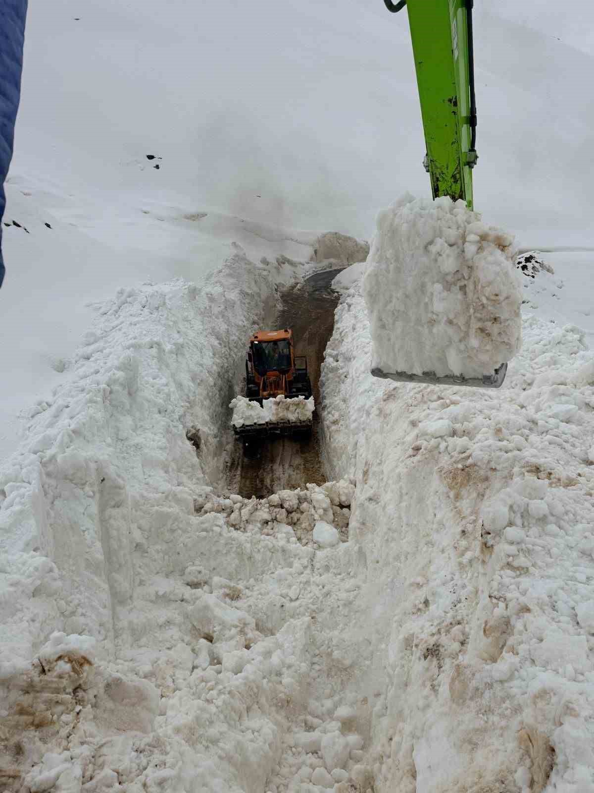 Şırnak’ta çığ düşen yolu açmak için ekipler seferber oluyor
Şırnak’ta çığ düşen yolu açmak için ekipler seferber oluyor