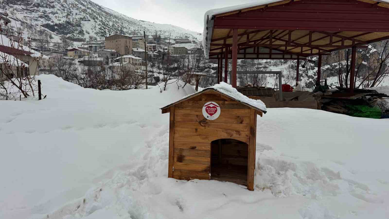 Şırnak’ta gönüllülerde sokak hayvanları için barınak ve mama desteği
