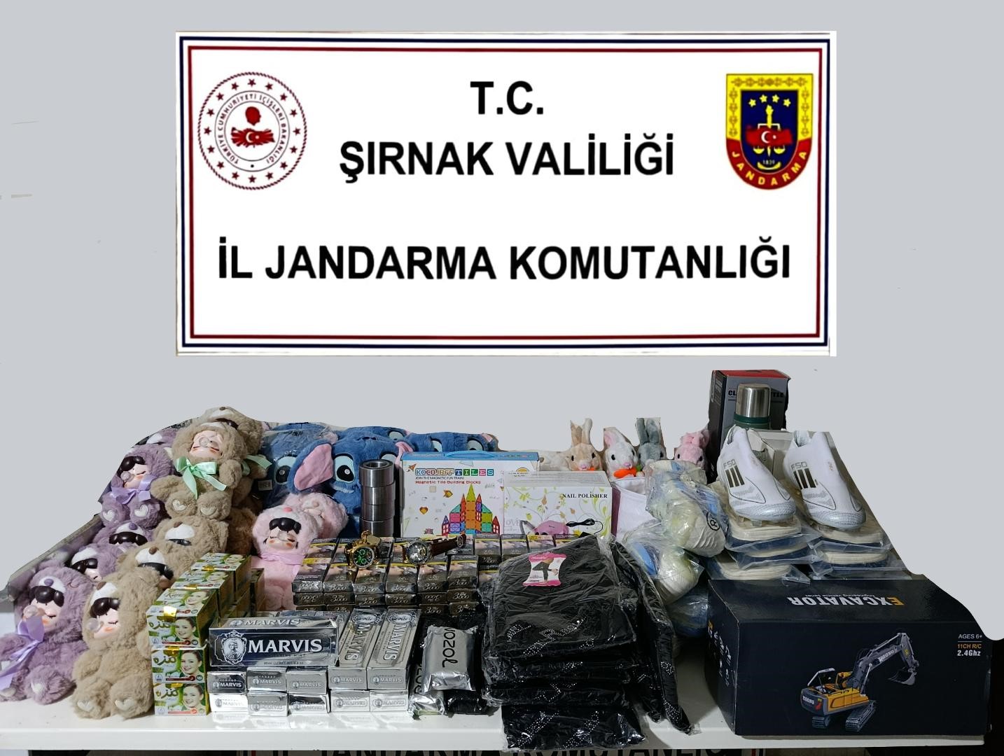 Şırnak’ta jandarma ekipleri cephanelik ele geçirdi: 20 tutuklama
