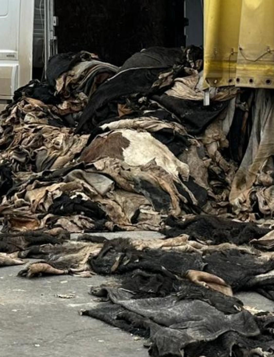 Şırnak’ta jandarma ekipleri cephanelik ele geçirdi: 20 tutuklama
